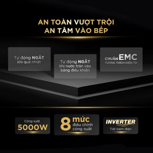 Bếp từ đôi BlueStone ICB-6825